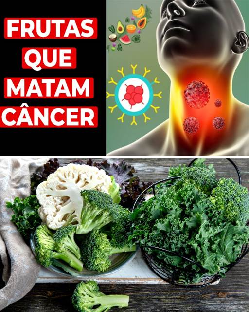 Frutas: Um Menu Delicioso e Potencialmente Anticancerígeno