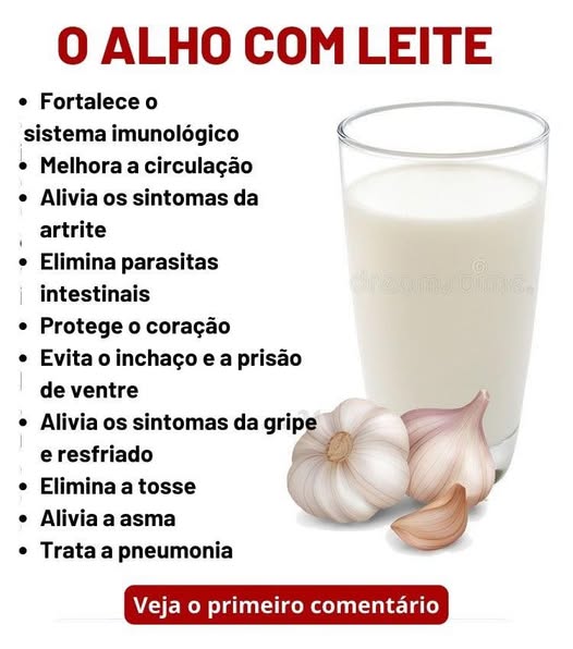 Alho no Leite: O Segredo Natural para uma Saúde Reforçada