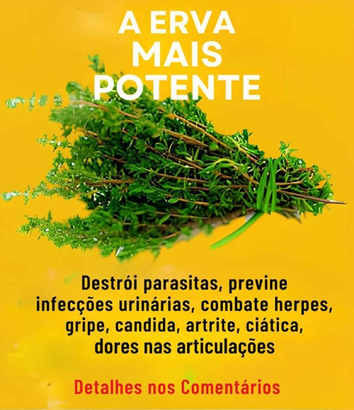 Alívio Natural ao Seu Alcance: Receita Poderosa para Combater Infecção Urinária, Gripe, Cândida, Artrite e Ciática