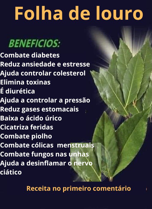 O Poder Oculto da Folha de Louro: Transforme sua Saúde com uma Simples Infusão