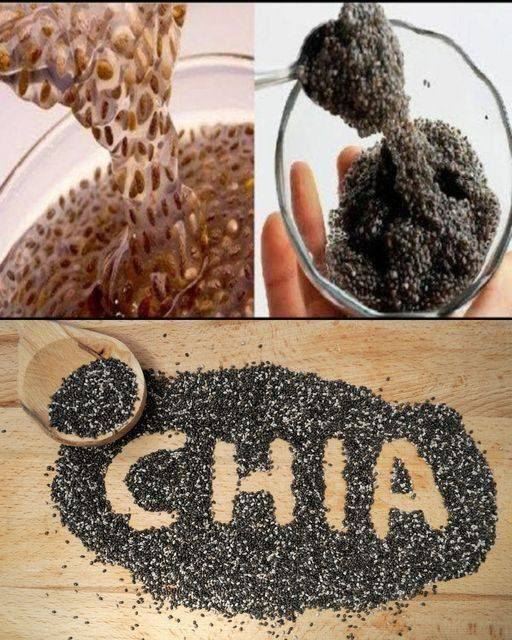 Descubra os Poderes da Chia: Guia Completo para Aproveitar ao Máximo este Superalimento