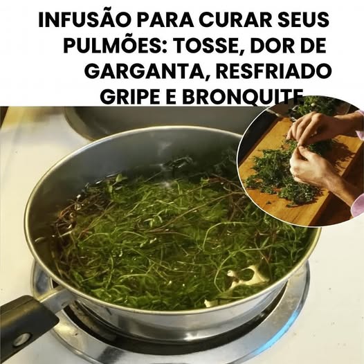 Uma Viagem no Tempo: A Receita 