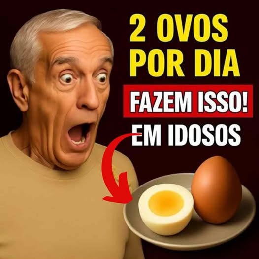 O Que Pode Causar no Idoso Que Come Ovo Todo Dia: Guia Completo e Detalhado