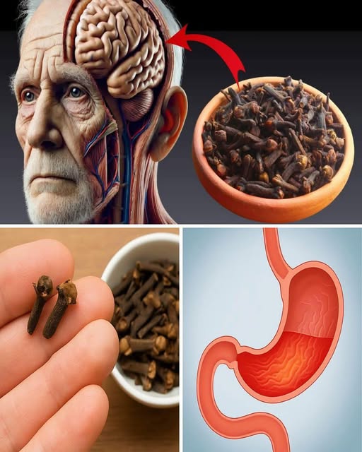 Mastigar 2 Cravos por Dia Depois dos 50: Benefícios Surpreendentes para seu Dia a Dia