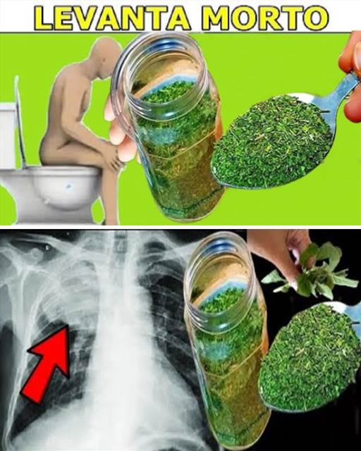 FAZ SAIR DOENÇA ATÉ PELO XIXI - NÃO ACREDITEI QUANDO IDOSA DE 98 ANOS ME ENSINOU! Descubra o Segredo para uma Saúde Radiante!