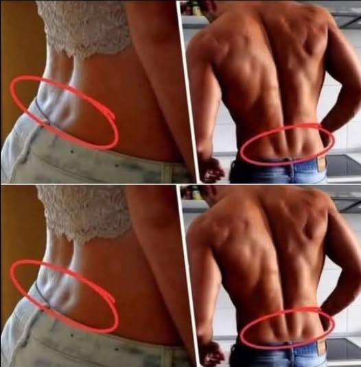 Entenda o Significado de Possíveis 