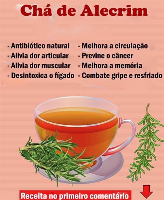 Descubra os Benefícios do Chá de Alecrim: Uma Jornada Aromática para a Saúde e Bem-Estar