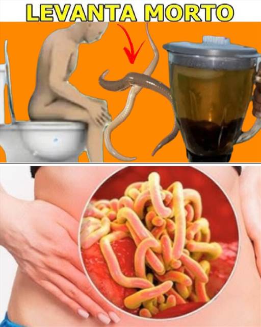 FAZ CUSPIR 12kg DE PARASITAS pelas FEZES – semente que TEM EM CASA: Descubra o Poder Oculto das Sementes para uma Limpeza Intestinal Profunda