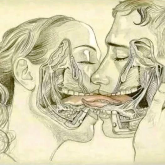 O Que Acontece no Corpo (e na Alma) Quando a Gente Se Beija?: Uma Jornada Fascinante